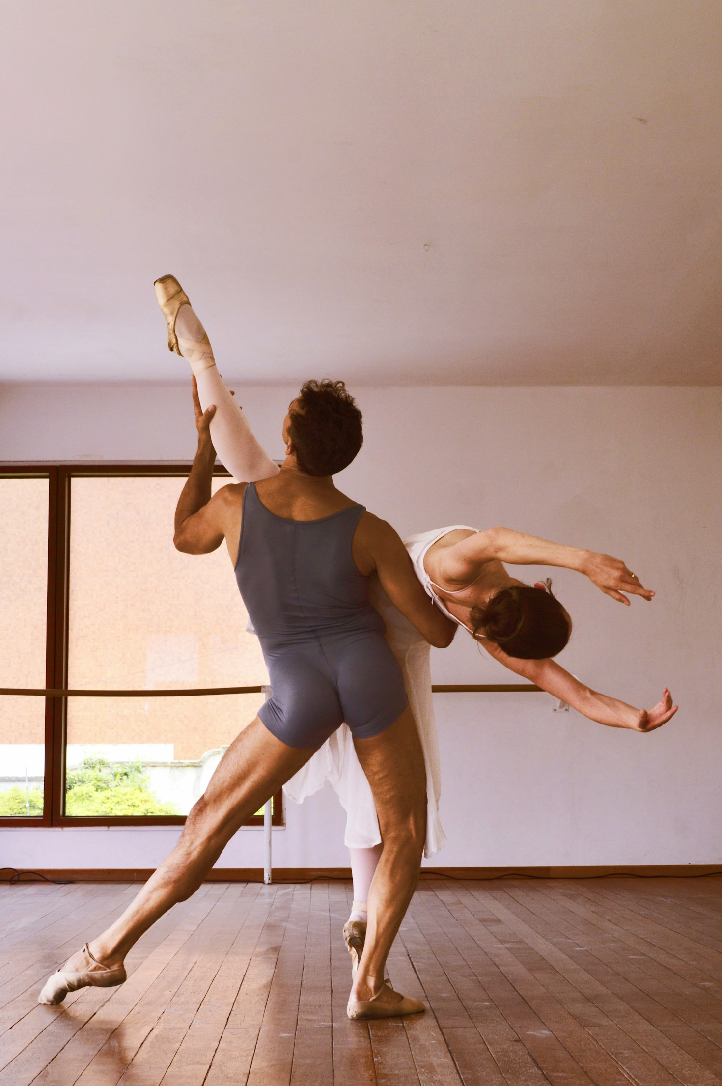De la terre aux abysses : un ballet en trois dimensions